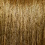 #6 Light Chestnut Brown