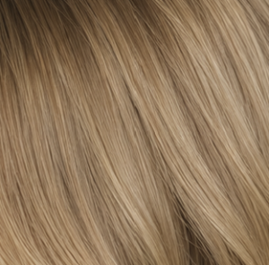 Asian Weft Hair Extensions – #16 Light Honey Blonde